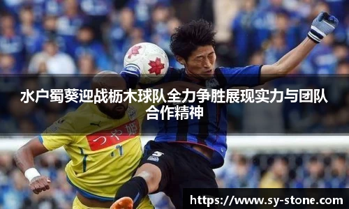 彩神VI首页官网