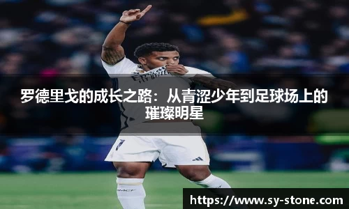 彩神VI首页官网